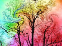 /album/galeria-de-fotos/a264516-483066435097104-1157284573-n-jpg/