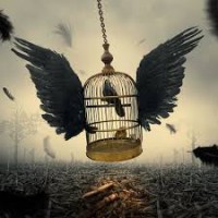 /album/galeria-de-fotos/images-jpg/